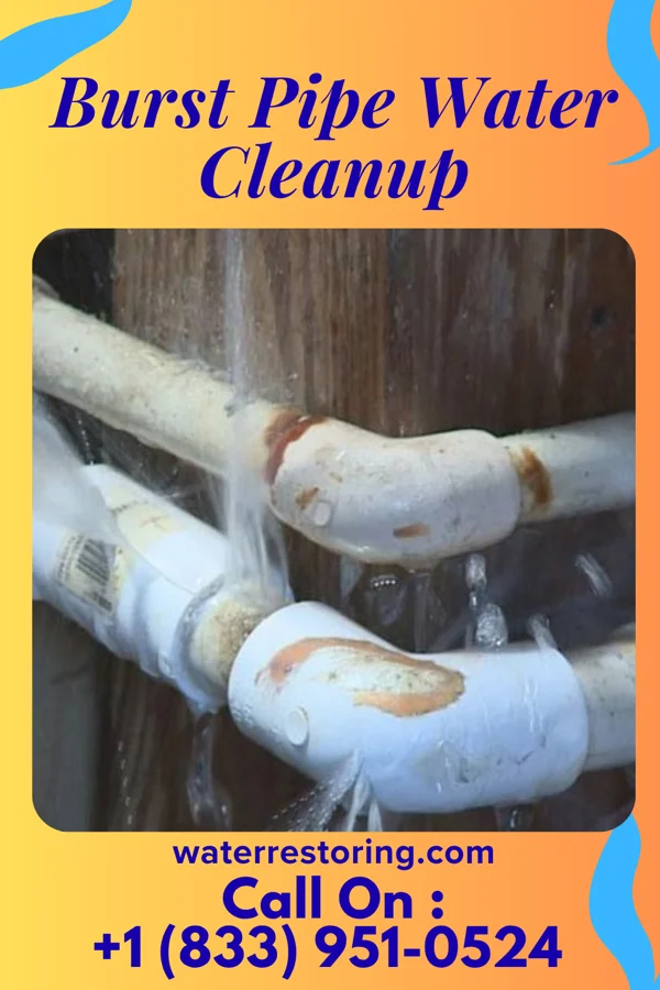 Burst Pipe Water Cleanup in Bellerose Terrace, NY