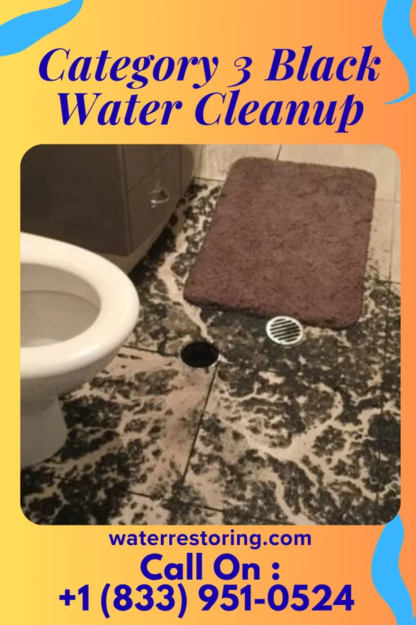 Category 3 Black Water Cleanup in Bellerose Terrace, NY