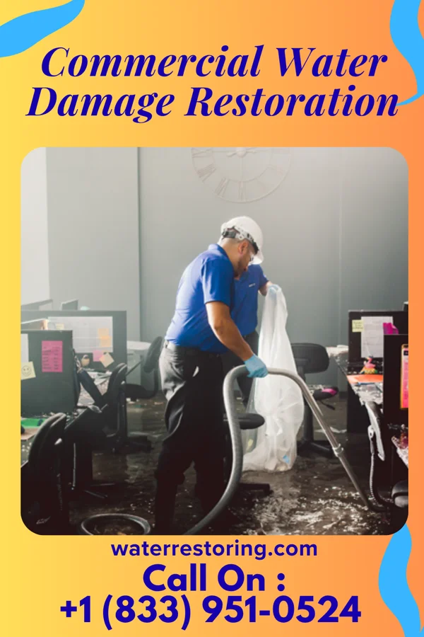 Commercial Water Damage Restoration in Bellerose Terrace, NY