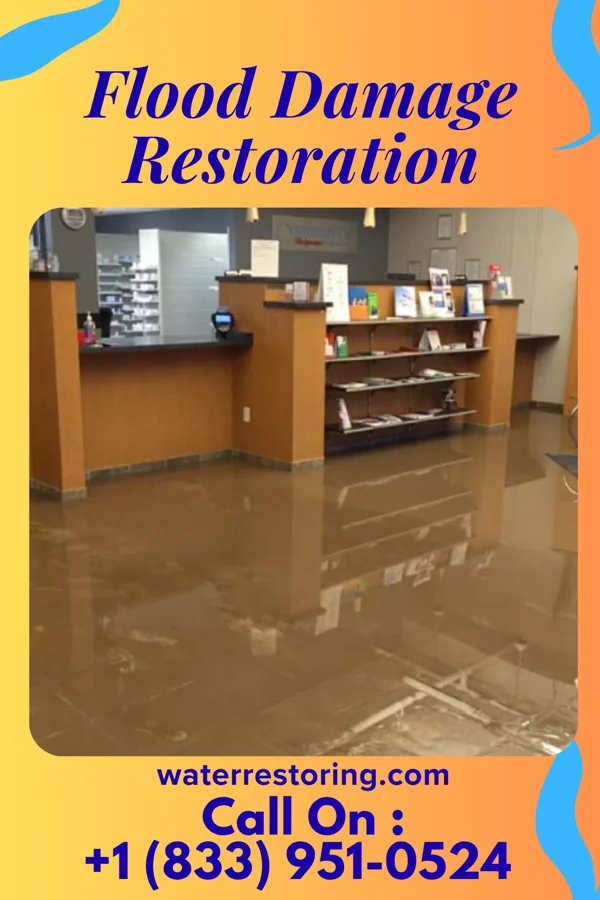 Flood Damage Restoration in Bellerose Terrace, NY