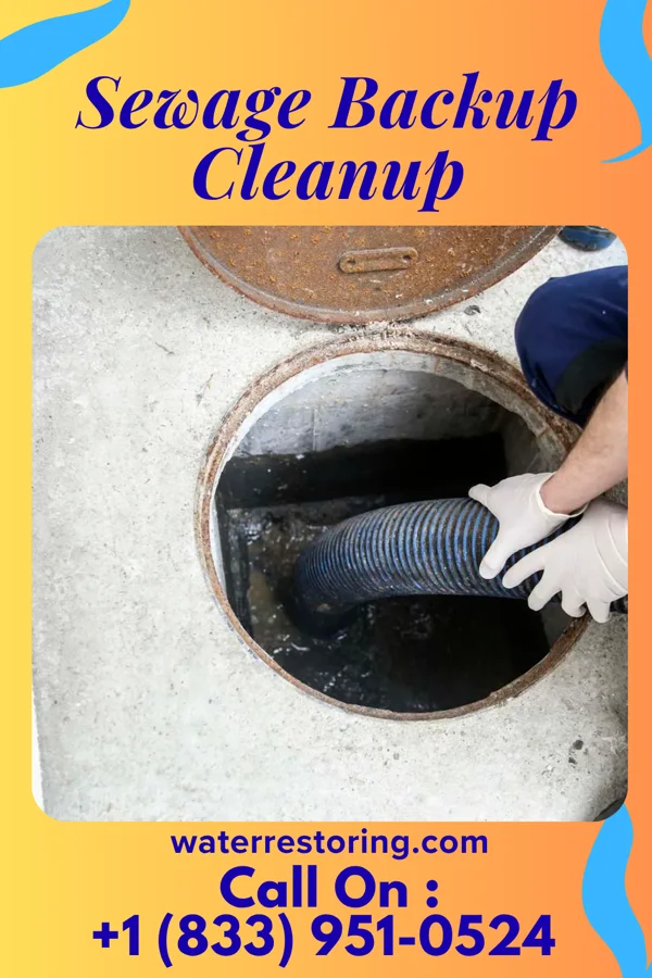 Sewage Backup Cleanup in Bellerose Terrace, NY
