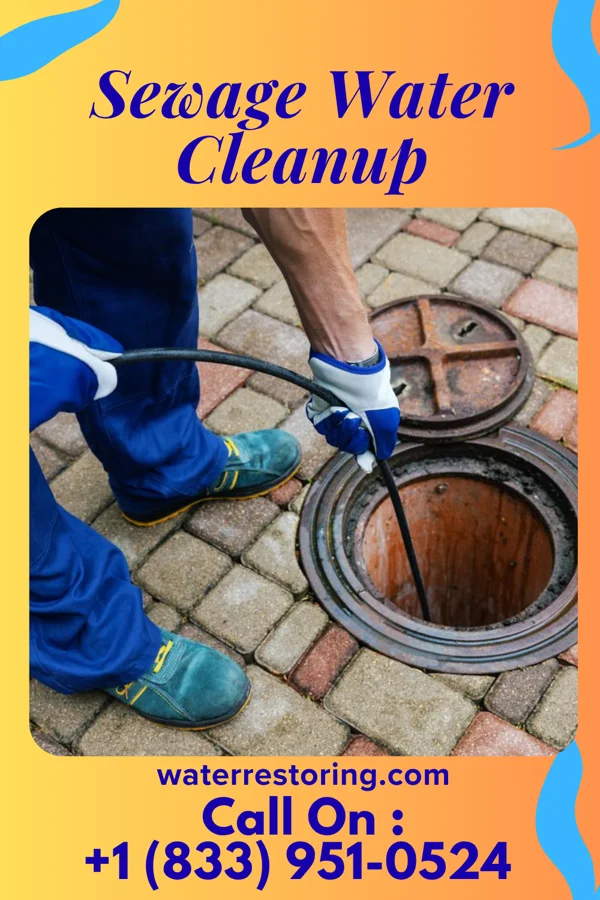 Sewage Water Cleanup in Bellerose Terrace, NY