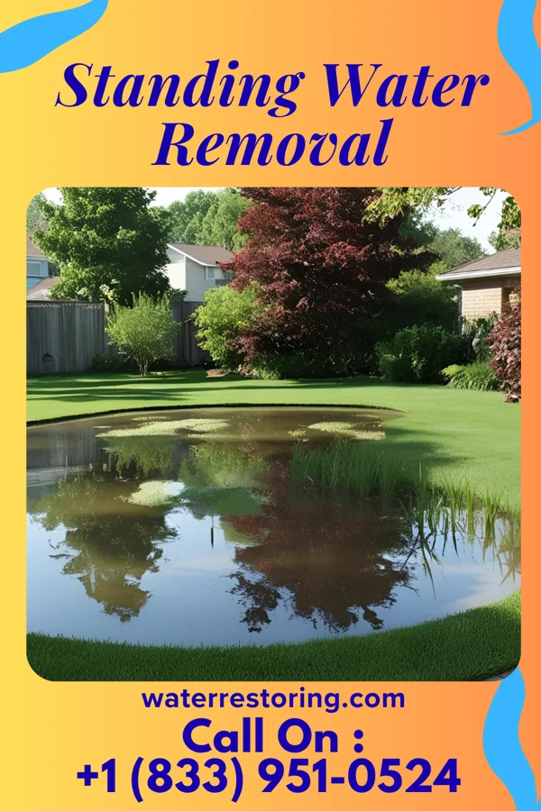 Standing Water Removal in Bellerose Terrace, NY